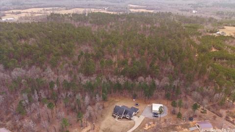 4041 Bent Tree Dr, Benton, AR 72019 photo 50