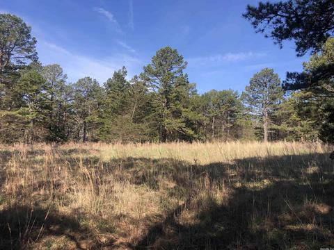 325 Elba Rd, Clinton, AR 72031 photo 43