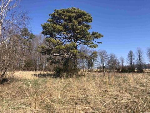 325 Elba Rd, Clinton, AR 72031 photo 39