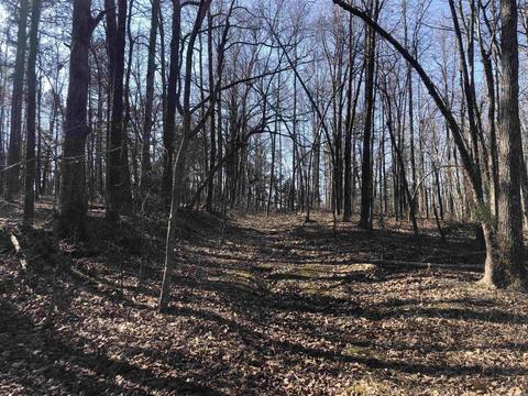 325 Elba Rd, Clinton, AR 72031 photo 49