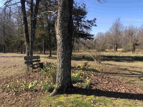 325 Elba Rd, Clinton, AR 72031 photo 38