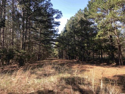325 Elba Rd, Clinton, AR 72031 photo 44