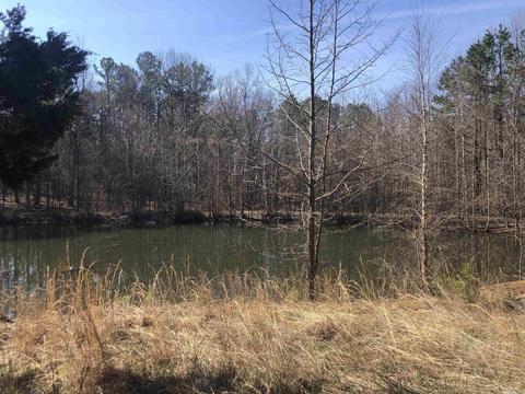 325 Elba Rd, Clinton, AR 72031 photo 41