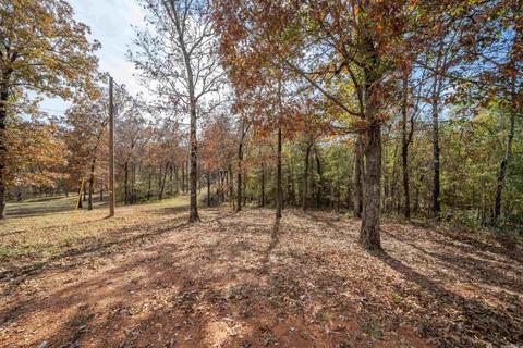 299 Mckenzie Trl, Royal, AR 71968 photo 5