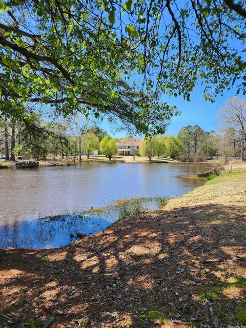1111 Matt Ln, Hensley, AR 72065 photo 49