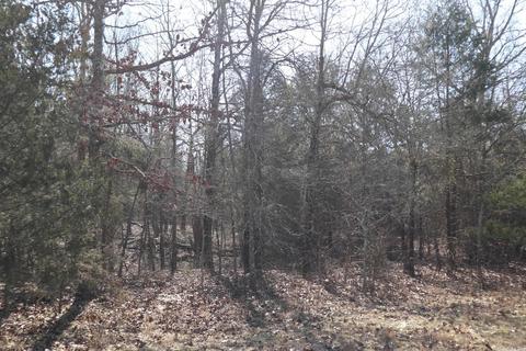 tbd Byron Rd, Salem, AR 72576 photo 19