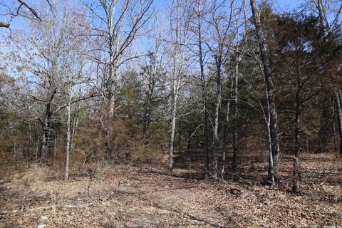 tbd Byron Rd, Salem, AR 72576 photo 31