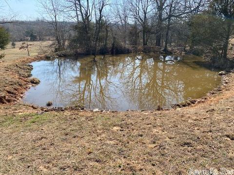 tbd Byron Rd, Salem, AR 72576 photo 6