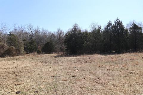 tbd Byron Rd, Salem, AR 72576 photo 15