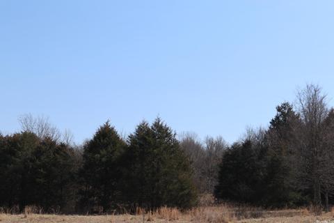 tbd Byron Rd, Salem, AR 72576 photo 28