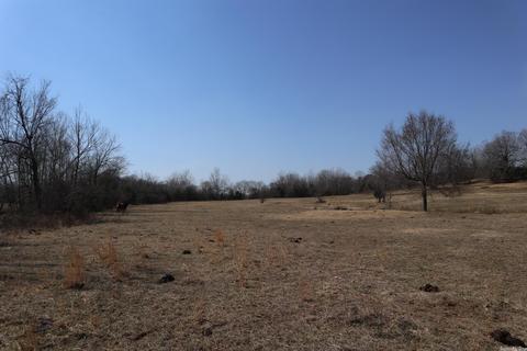 tbd Byron Rd, Salem, AR 72576 photo 11