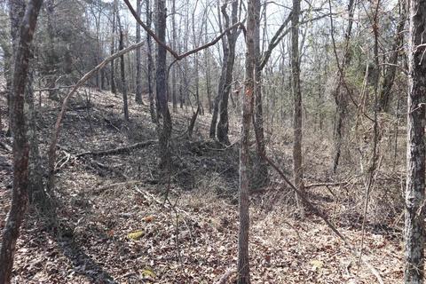 tbd Byron Rd, Salem, AR 72576 photo 17