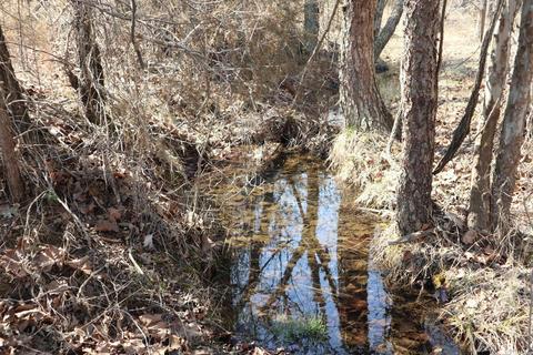 tbd Byron Rd, Salem, AR 72576 photo 22