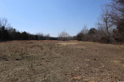 tbd Byron Rd, Salem, AR 72576 photo 14