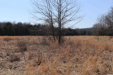 tbd Byron Rd, Salem, AR 72576 photo 25