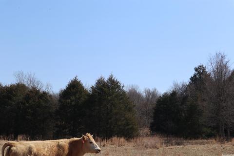 tbd Byron Rd, Salem, AR 72576 photo 27