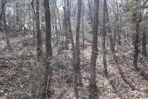tbd Byron Rd, Salem, AR 72576 photo 18