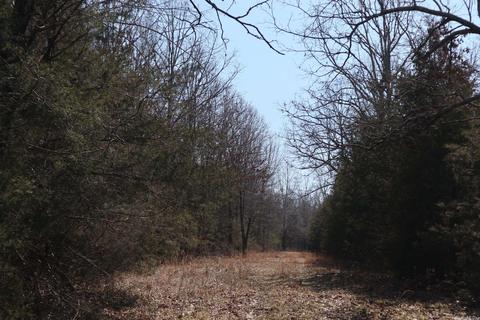 tbd Byron Rd, Salem, AR 72576 photo 29