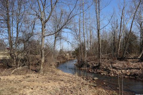 tbd Byron Rd, Salem, AR 72576 photo 13