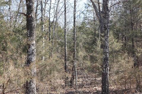 tbd Byron Rd, Salem, AR 72576 photo 30