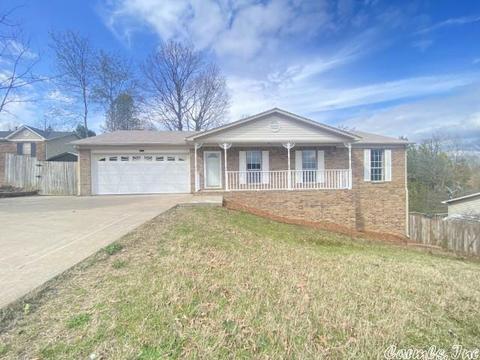 13224 Hummingbird Ln, Alexander, AR 72002 photo 1