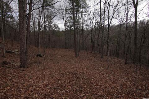 309 Denton Rd, Clinton, AR 72031 photo 29