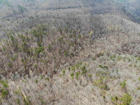 309 Denton Rd, Clinton, AR 72031 photo 24