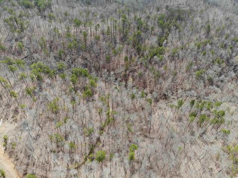 309 Denton Rd, Clinton, AR 72031 photo 25