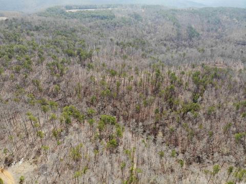 309 Denton Rd, Clinton, AR 72031 photo 26