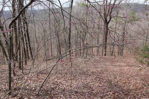 309 Denton Rd, Clinton, AR 72031 photo 28