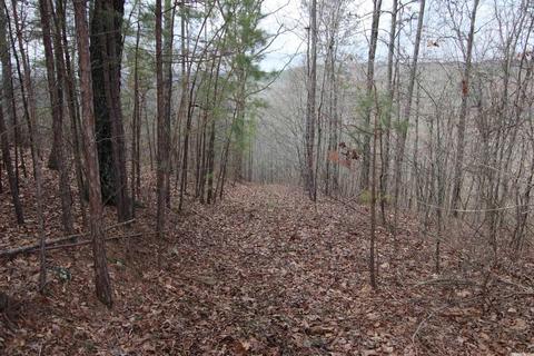 309 Denton Rd, Clinton, AR 72031 photo 3