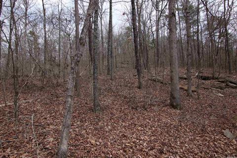 309 Denton Rd, Clinton, AR 72031 photo 27