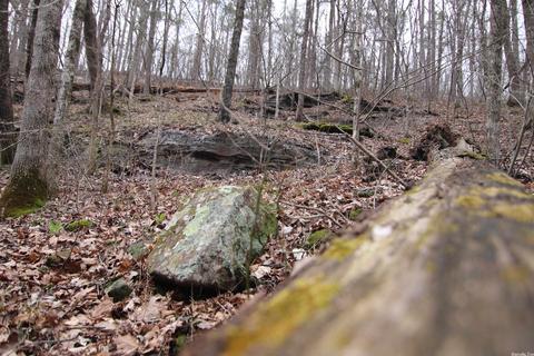 309 Denton Rd, Clinton, AR 72031 photo 30