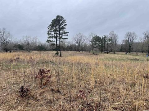 41 Easy K Rd, Sage, AR 72573 photo 7