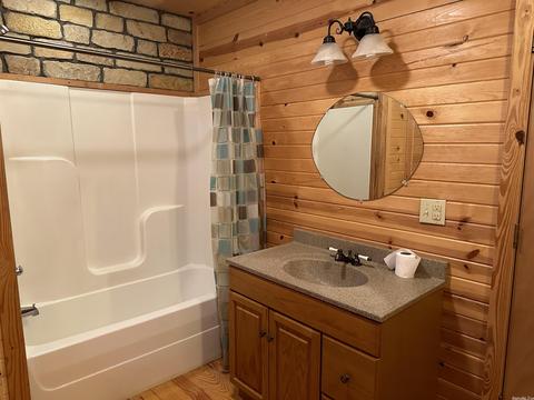 541 Blue Cove Loop, Mountain View, AR 72560 photo 21