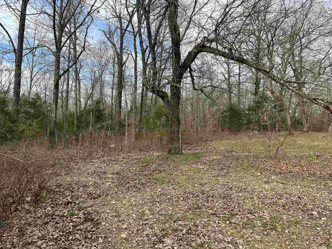 46 Pleasant Run Rd, Mammoth Spring, AR 72554 photo 22