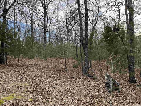 46 Pleasant Run Rd, Mammoth Spring, AR 72554 photo 19
