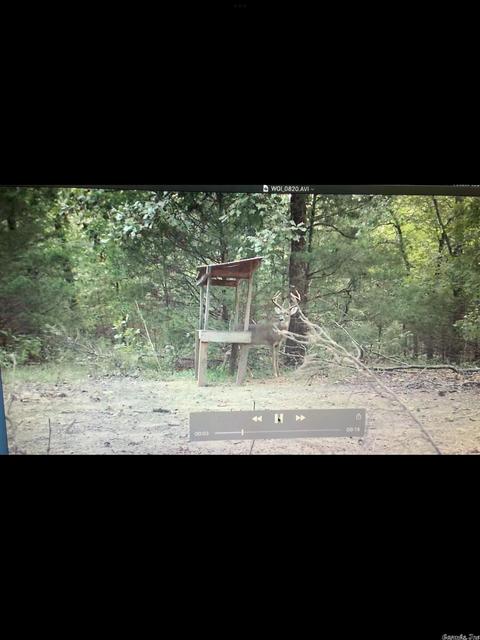 46 Pleasant Run Rd, Mammoth Spring, AR 72554 photo 23