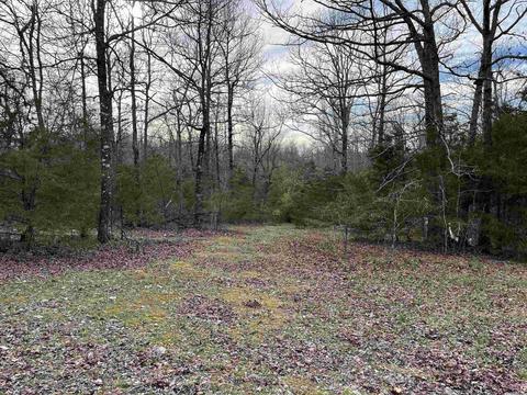 46 Pleasant Run Rd, Mammoth Spring, AR 72554 photo 18