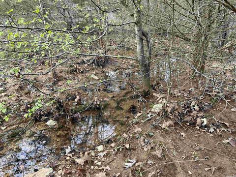 46 Pleasant Run Rd, Mammoth Spring, AR 72554 photo 21