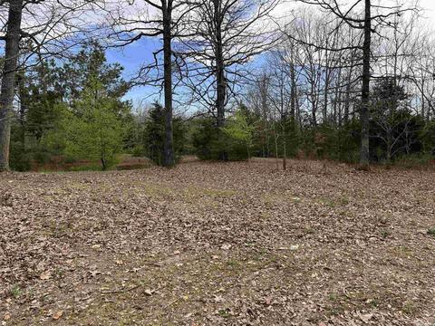 46 Pleasant Run Rd, Mammoth Spring, AR 72554 photo 16