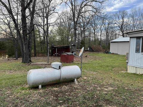 46 Pleasant Run Rd, Mammoth Spring, AR 72554 photo 4