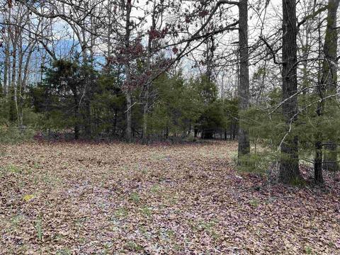 46 Pleasant Run Rd, Mammoth Spring, AR 72554 photo 17