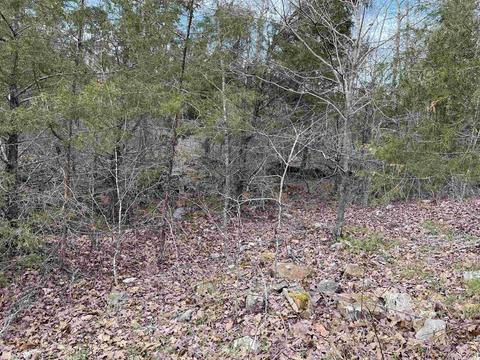 46 Pleasant Run Rd, Mammoth Spring, AR 72554 photo 20