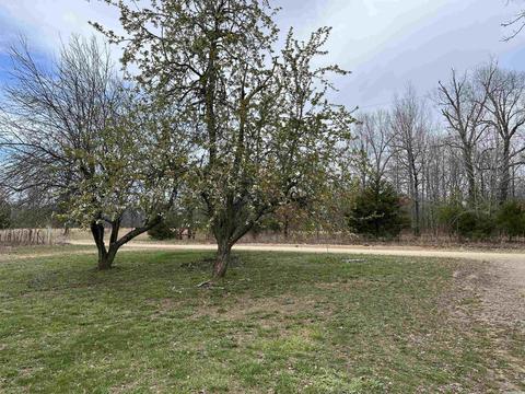 46 Pleasant Run Rd, Mammoth Spring, AR 72554 photo 6