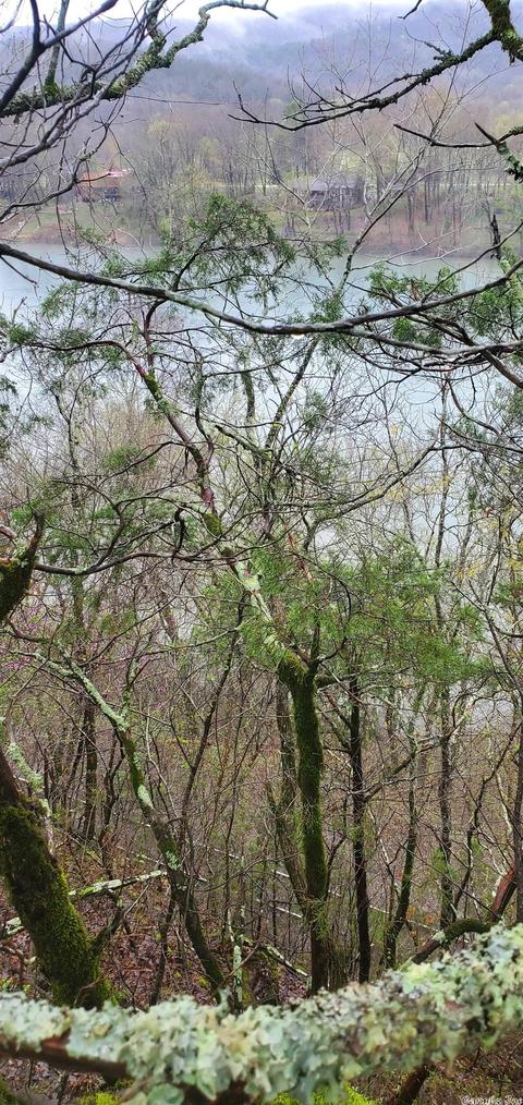 676 Fowler Rd, Melbourne, AR 72556 photo 3