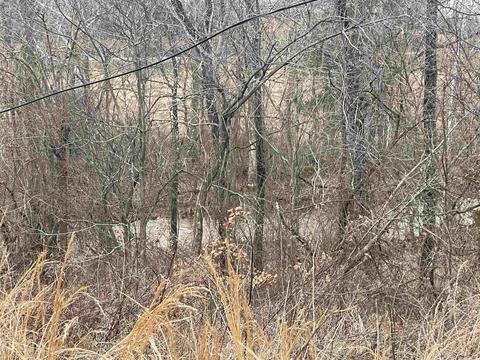 57 Evans Rd, Ash Flat, AR 72513 photo 20