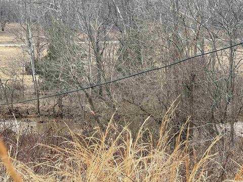 57 Evans Rd, Ash Flat, AR 72513 photo 19