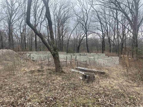 57 Evans Rd, Ash Flat, AR 72513 photo 23