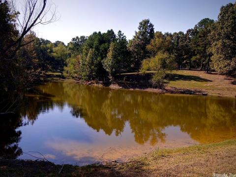 6028 Hooks Cv, Alexander, AR 72002 photo 31